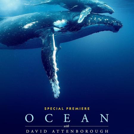 Ocean With David Attenborough documentary