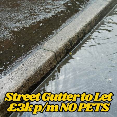 Street Gutter to Let