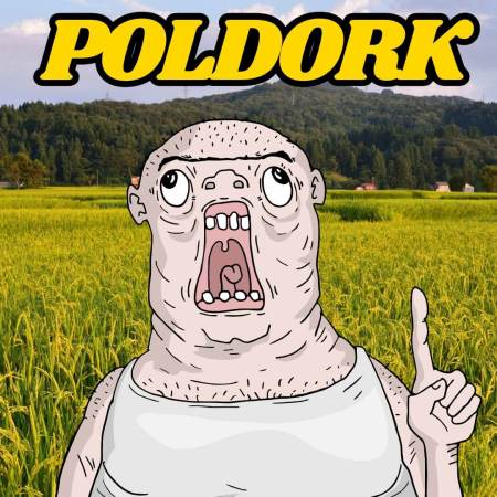 Poldork the geeky TV series