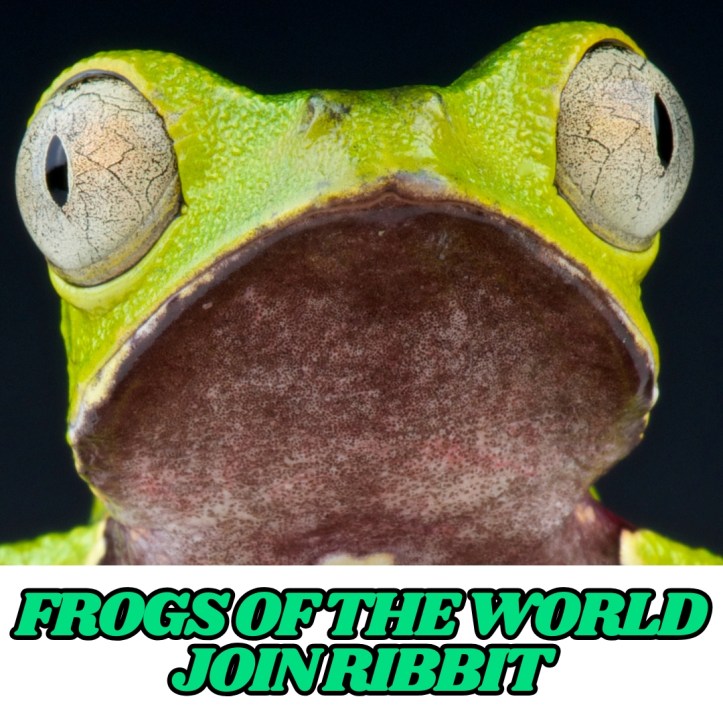 Ribbit the frog version of Reddit