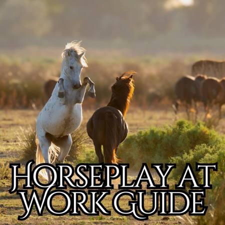 Horseplay at work business guide
