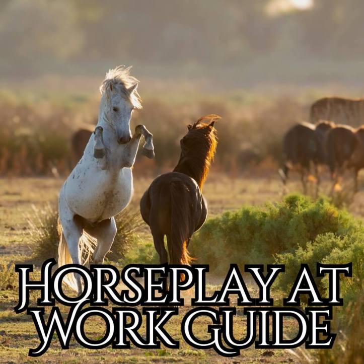 Horseplay at work business guide